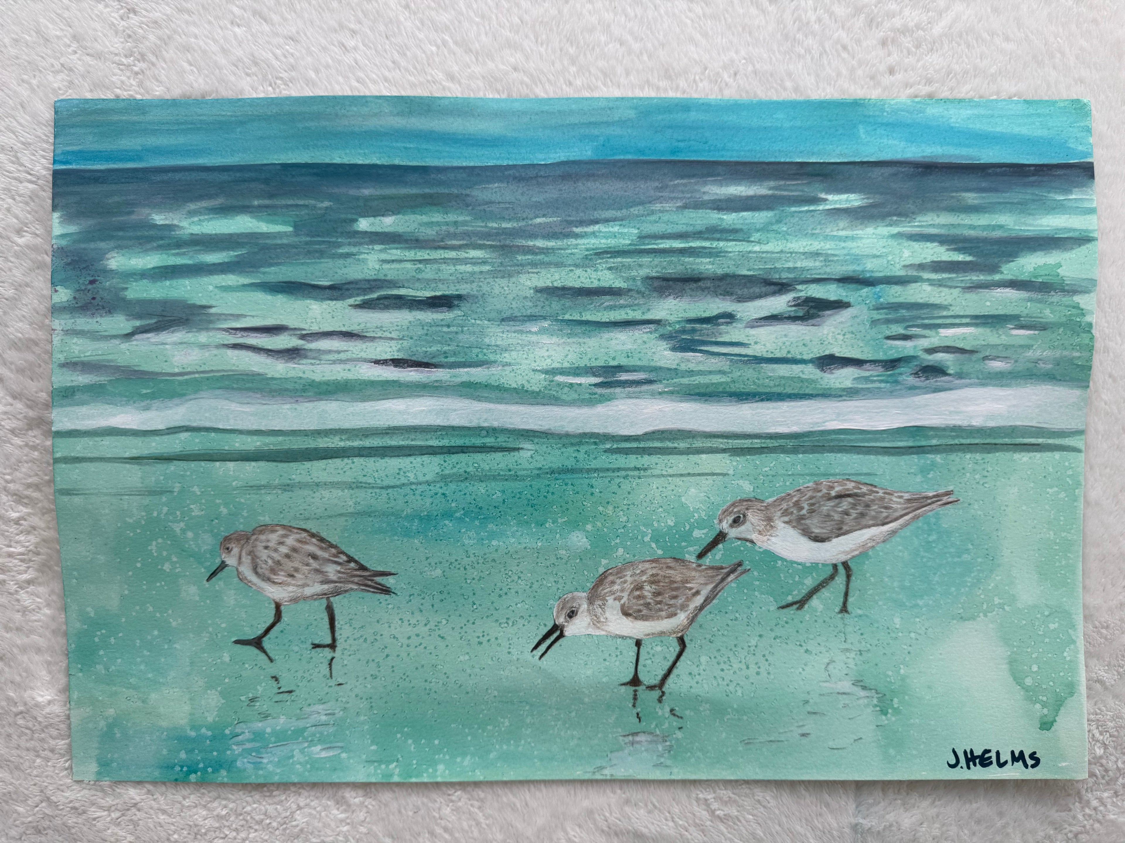 Sandpipers