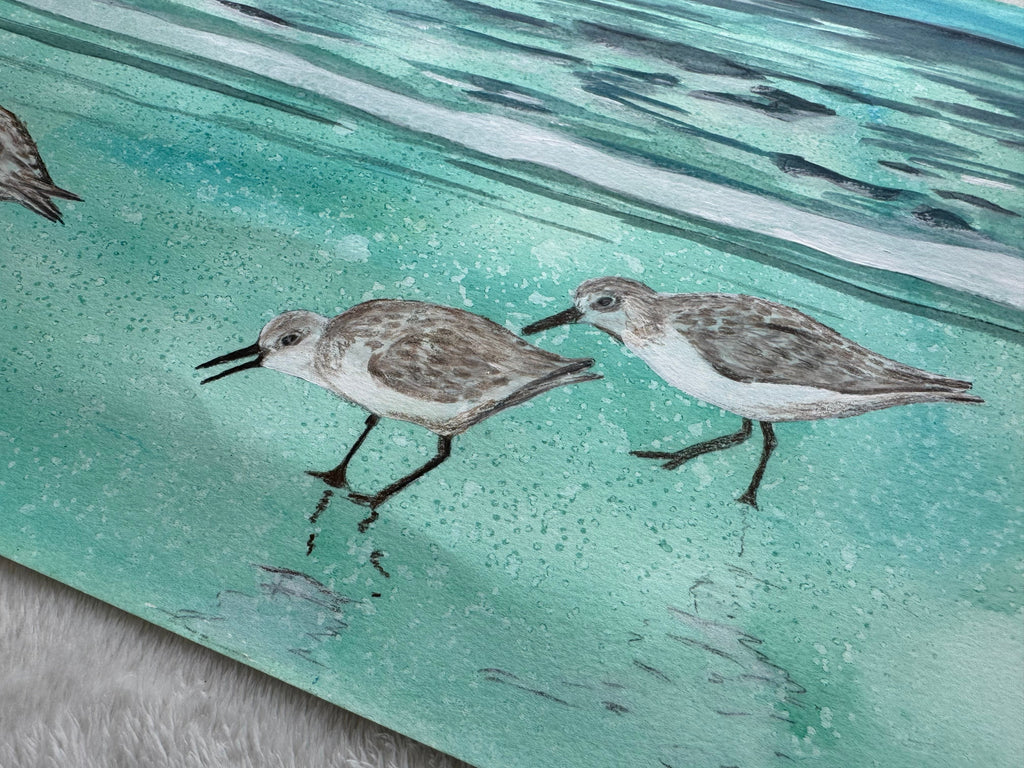 Sandpipers