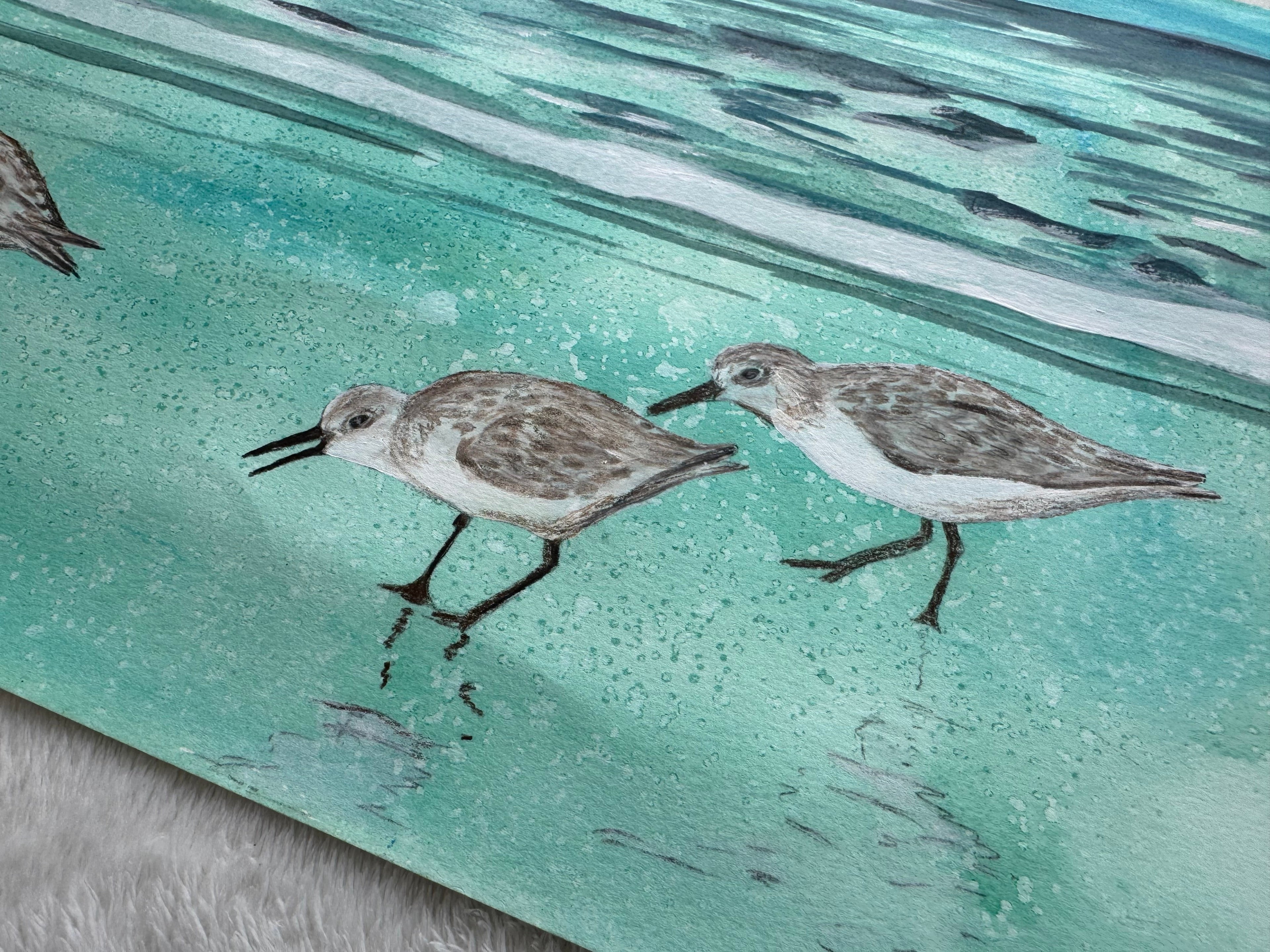 Sandpipers