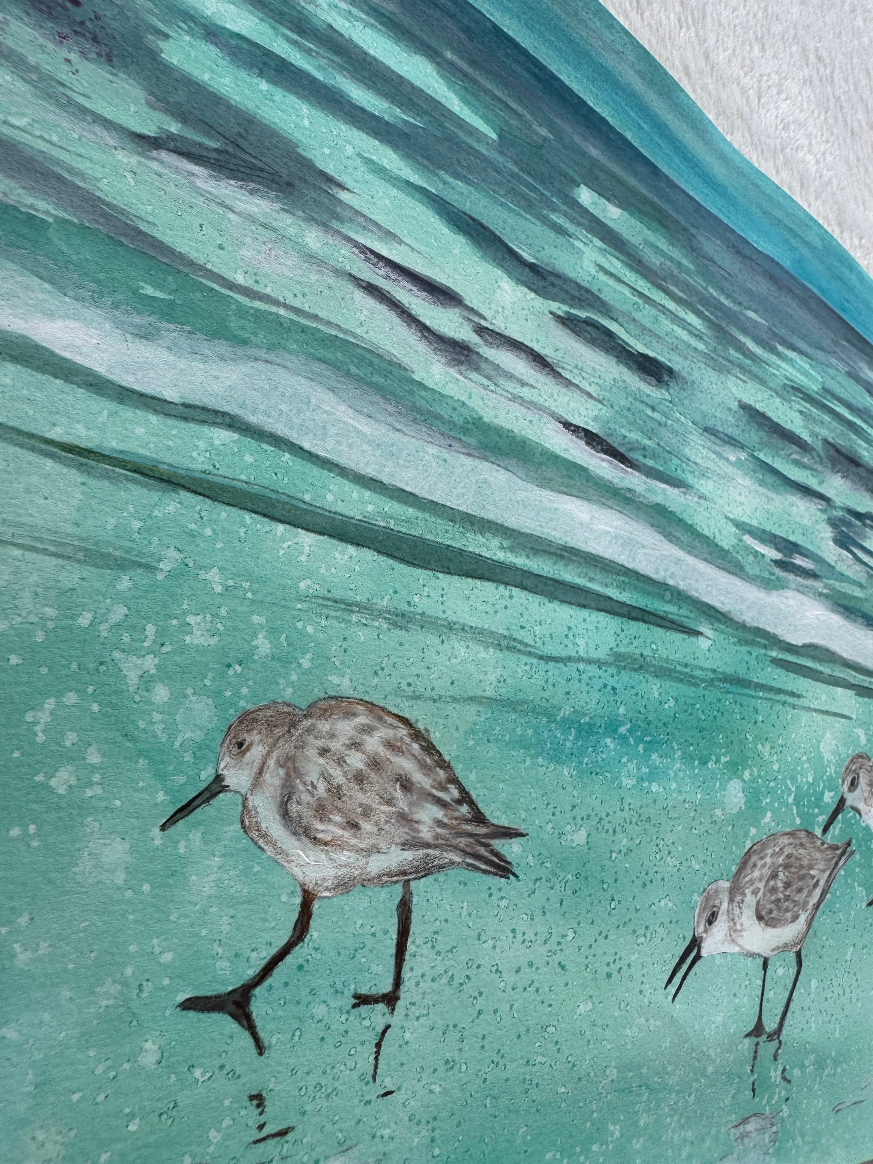 Sandpipers