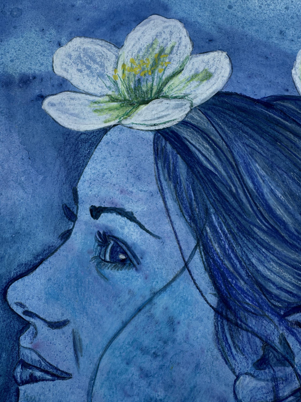 Moonflower