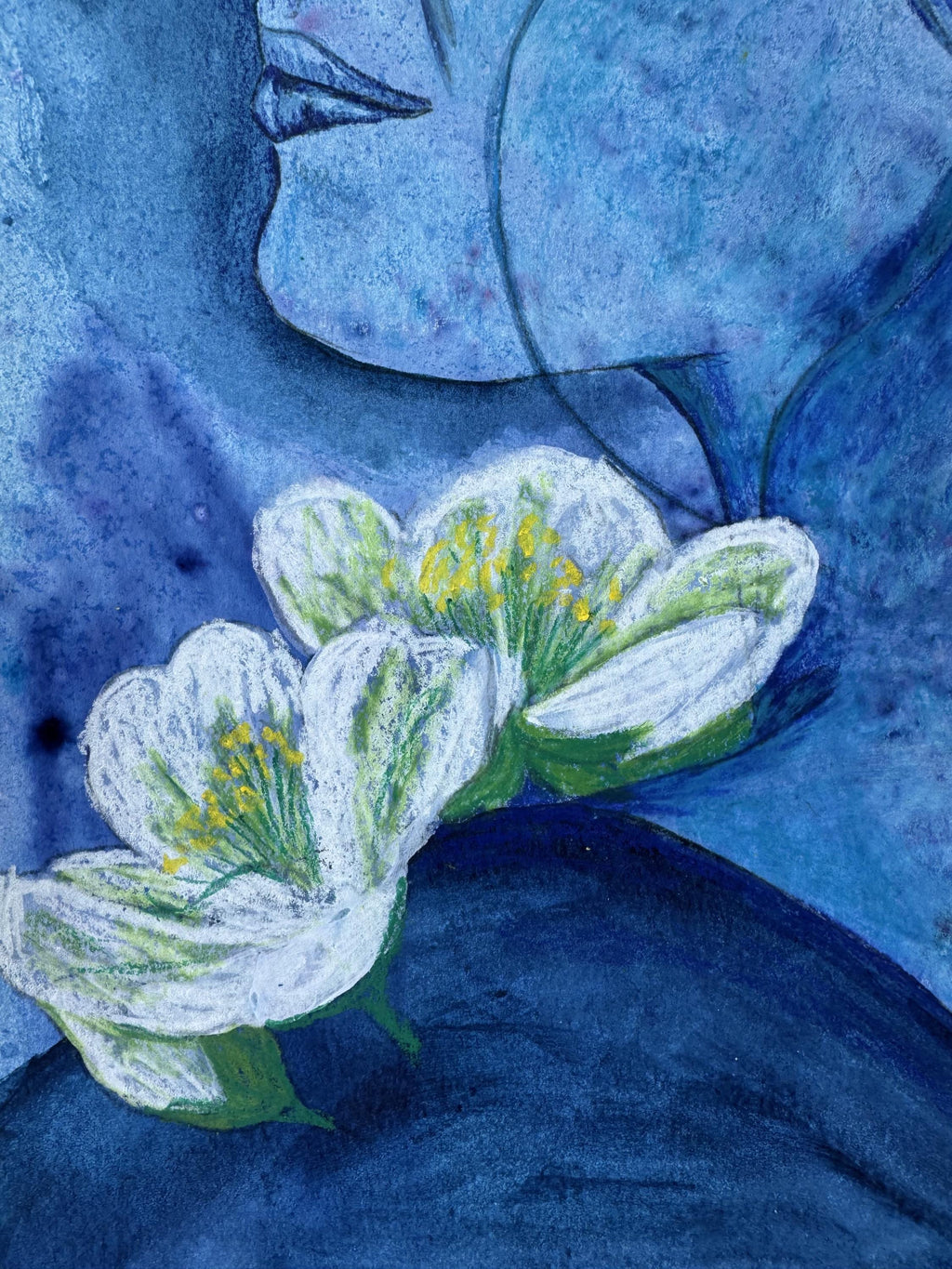 Moonflower