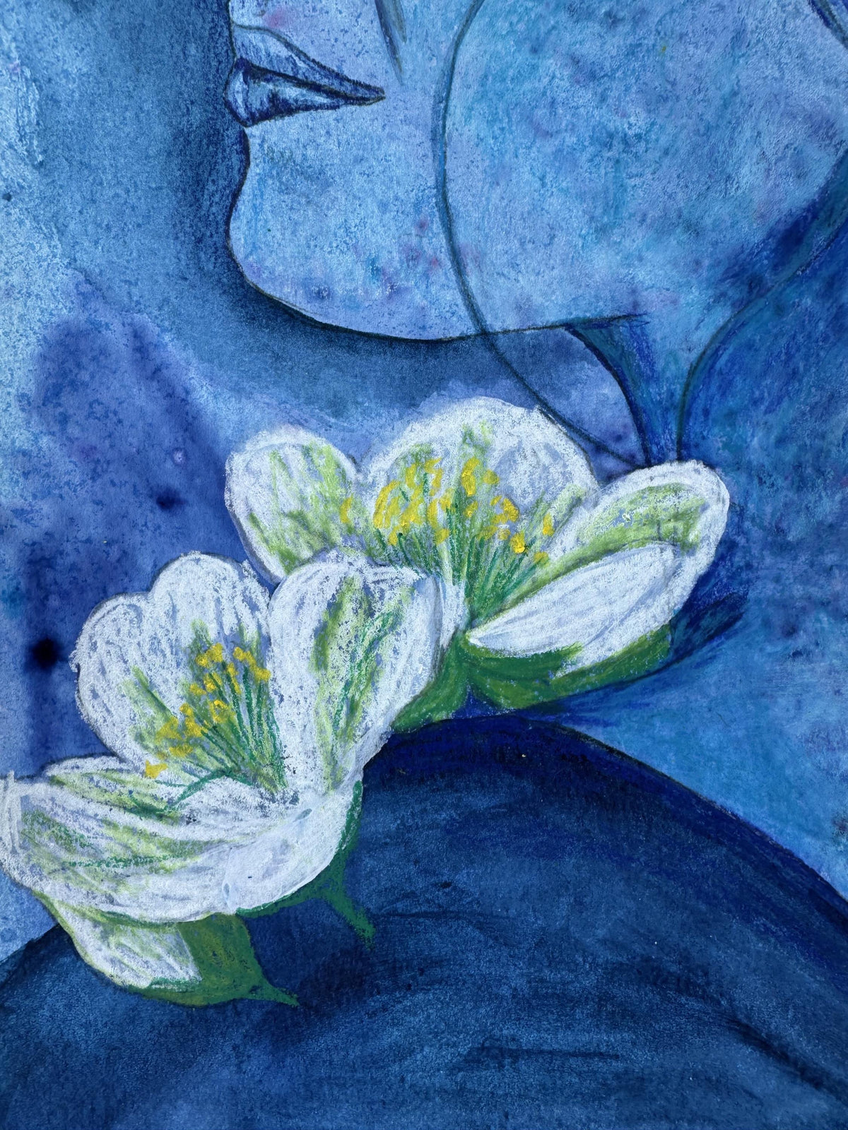 Moonflower
